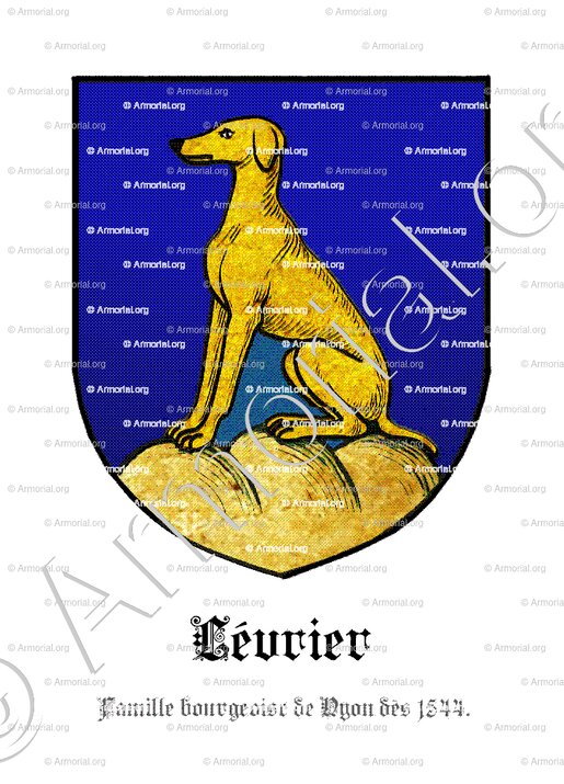 LÉVRIER_Nyon, Vaud._Suisse (2)