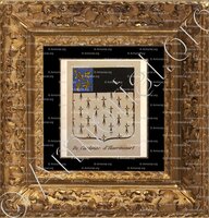 cadre-ancien-or-DE CARDEVAC D'HAVRINCOURT_Noblesse d'Empire._France