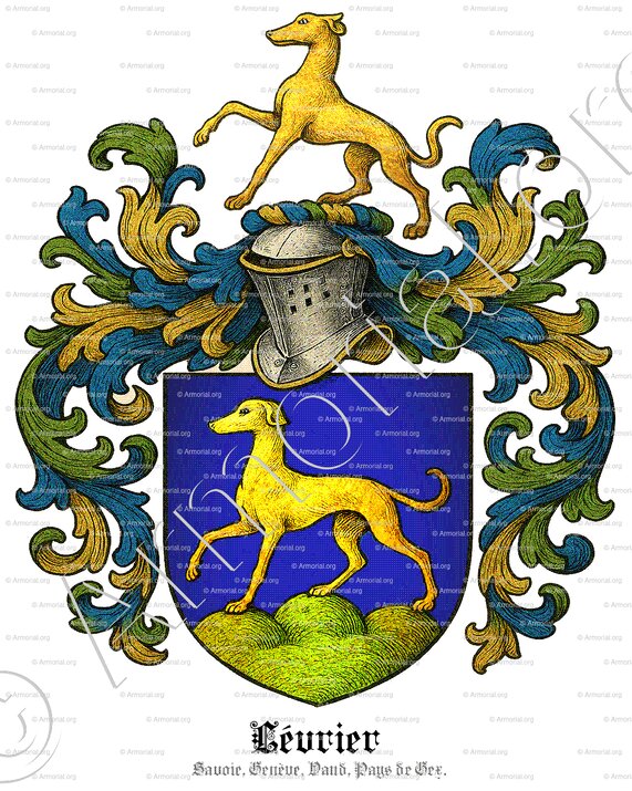 LÉVRIER_Savoie, Genève, Vaud, Pays de Gex._Suisse (1)