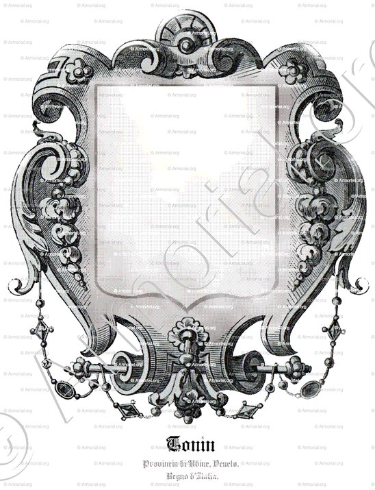 TONIN_Provincia di Udine, Veneto. Regno d'Italia._Italia (1)