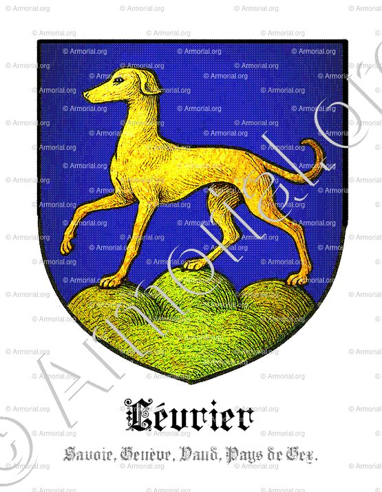 LÉVRIER_Savoie, Genève, Vaud, Pays de Gex._Suisse (2)