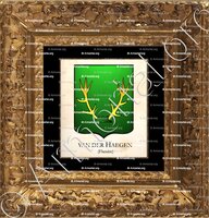 cadre-ancien-or-VAN DER HAEGEN_Flandre_Belgique