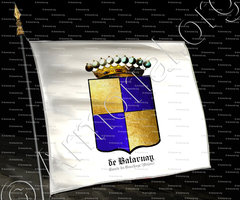 drapeau-de BATARNAY Comte du BOUCHAGE_Anjou_France