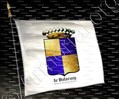 drapeau-de BATARNAY Comte du BOUCHAGE_Anjou_France