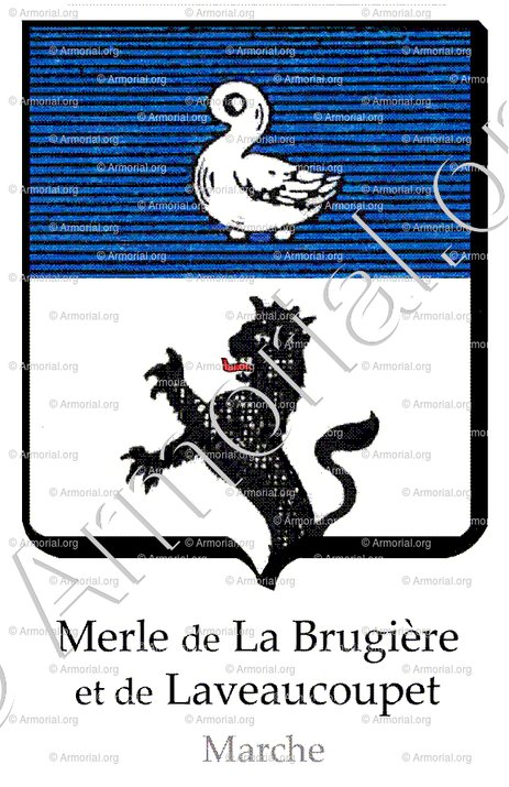 MERLE de LA BRUGIÈRE et de  LAVEAUCOUPET_Marche_France (3)+