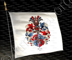 drapeau-FOLSACH_Randers,  Århus, Ålborg (Jylland)_Danmark