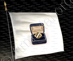 drapeau-BACHMANN_Basel, Bern, St. Gallen._Schweiz (4)