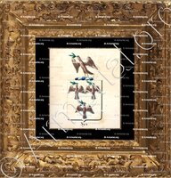 cadre-ancien-or-NYS_Armorial royal des Pays-Bas_Europe