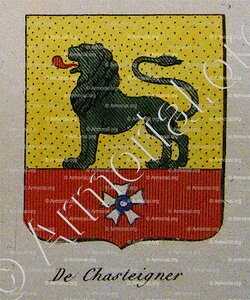 DE CHASTEIGNER
