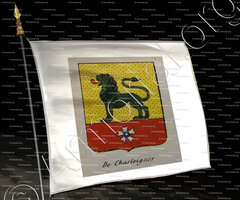 drapeau-DE CHASTEIGNER_Noblesse d'Empire._France