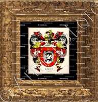 cadre-ancien-or-BAEZA_Andalucia_España (ii)