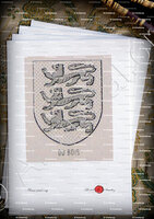 velin-d-Arches-du BOIS_Bourbonnais_France (6)