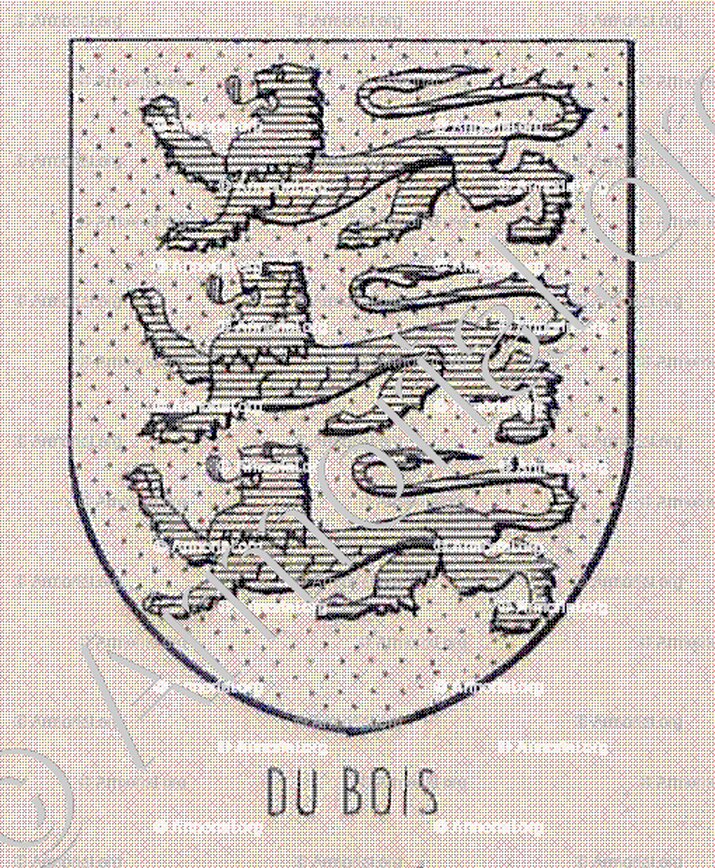 du BOIS_Bourbonnais_France (6)