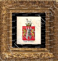 cadre-ancien-or-O'KELLY DE GALWAY_Armorial royal des Pays-Bas_Europe