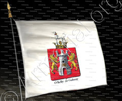 drapeau-O'KELLY DE GALWAY_Armorial royal des Pays-Bas_Europe