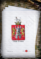 velin-d-Arches-O'KELLY DE GALWAY_Armorial royal des Pays-Bas_Europe