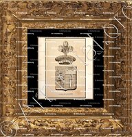 cadre-ancien-or-GALEAZZINI_Corse. Armorial Corse, 1892._France (1)