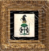 cadre-ancien-or-OSY_Armorial royal des Pays-Bas_Europe