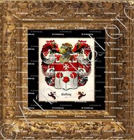 cadre-ancien-or-DUDING_Riaz. Heraldica Helvetica par François Rappard, 1993._Suisse ()
