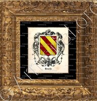 cadre-ancien-or-BOUCHE_Vaucluse, Flandre, Artois, Piardie, Nivernais, Aunis, Champagne._France (1)+