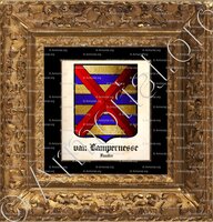 cadre-ancien-or-Van LAMPERNESSE_Seigneurie de Lampernesse, Ypres._Belgique