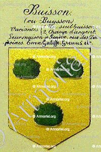 Buisson