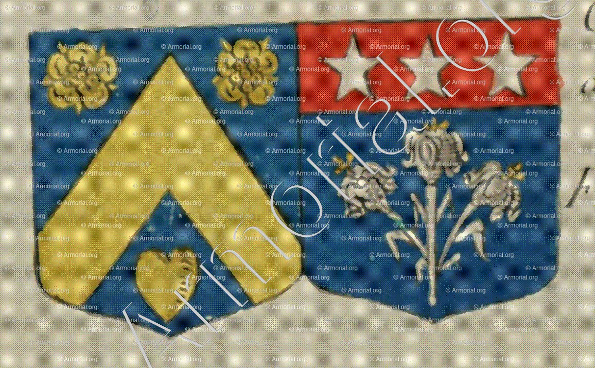 BROICHOT et Le NOIR sa femme (Alsace)_Blason enregistré sous le règne de Louis XIV_France 