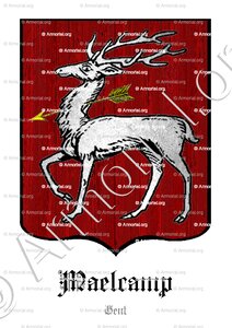 MAELCAMP