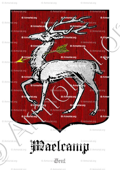 MAELCAMP_Gent_België (2)