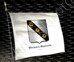 drapeau-MARTENS de BASSEVELTDE_Gent. Oost-Vlanderen_Belgïe (2)