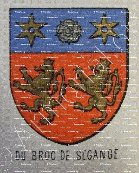 du BROC de SEGANGE_Bourbonnais_France