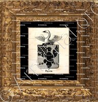 cadre-ancien-or-PAYEN_Armorial royal des Pays-Bas_Europe