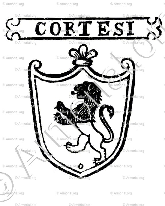 CORTESI_Padova_Italia