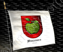 drapeau-MANZANARO_Valencia_España