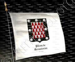 drapeau-ADAM de KERMALVEZEN_Bretagne_France (2)