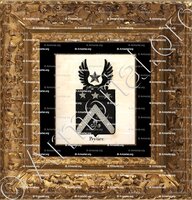 cadre-ancien-or-PEYTIER_Armorial royal des Pays-Bas_Europe