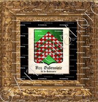 cadre-ancien-or-Van OUDENSLOTE dit de TOLLENAERE_Gand_Belgique (i)