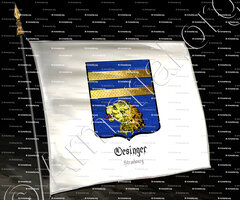 drapeau-OESINGER_Strasbourg_France (2)