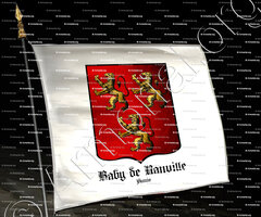 drapeau-BABY de RANVILLE_Aunis_France (i)