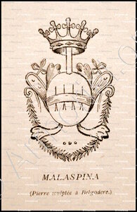 MALASPINA