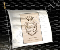 drapeau-MALASPINA_Corse. Armorial Corse, 1892._France (1)