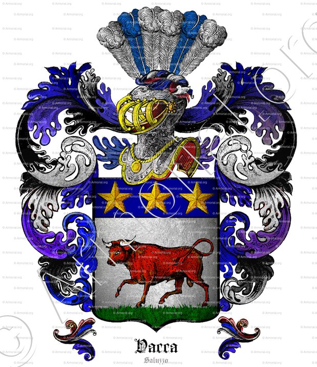 VACCA_Saluzzo_Italia ()