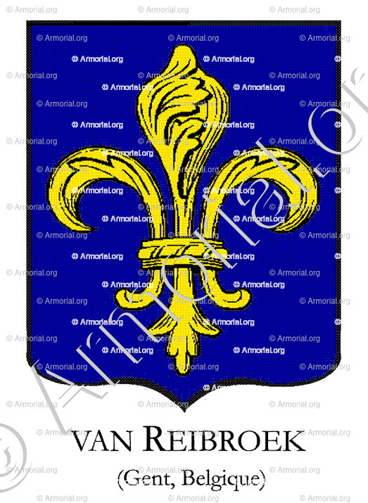 Van REIBROEK_Gent_Belgique
