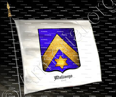 drapeau-MALLASYS_Gand_Belgique