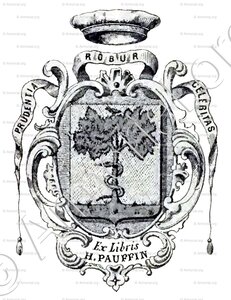 PAUFFIN
