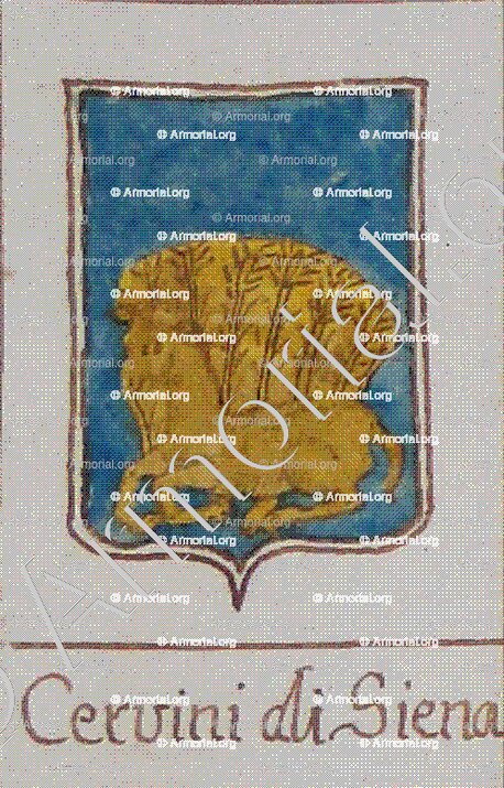 CERVINI_Siena_Italia ()