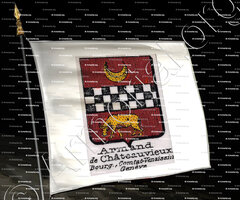 drapeau-ARMAND de CHÂTEAUVIEUX_Bourgogne, Comtat-Venaissin, Genève._France