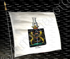 drapeau-PYCKE_Armorial royal des Pays-Bas_Europe