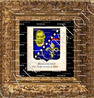 cadre-ancien-or-BELLENFANT_Nice, org. Maine_France