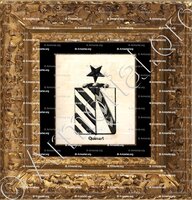 cadre-ancien-or-QUINART_Armorial royal des Pays-Bas_Europe